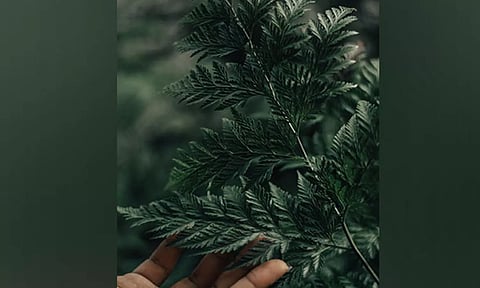 Representative image