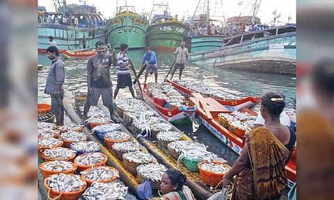 Fishing boats arrive at Kasimedu harbour with catch