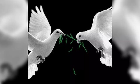 Israel-Hamas War: Only way forward in the Middle-East crisis