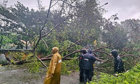 Ayanavaram Traffic Police officials clearing debris on road in ICF (Photo: Hemanathan)