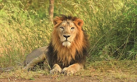 Representative Image