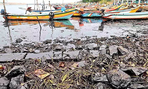 The oil leak has affected households in Ennore