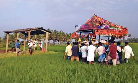 Residents of Ramanathapuram village in Vellanur panchayat carry the dead through paddy field