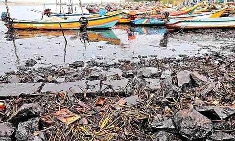 The oil leak has affected households in Ennore