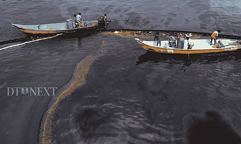 Oil Spill in Ennore (Image: Hemanathan M)