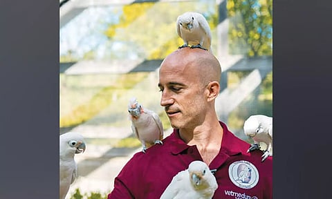 Wild Toolshed: Polly wants a cracker, but one that’s easier to chew