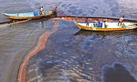 Oil Spill in Ennore (Photo: Hemanathan M)