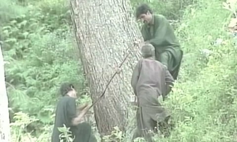 Human interference triggers environmental crisis in Gilgit-Baltistan