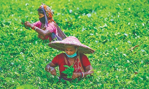 Representative image.