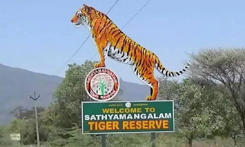 Sathyamangalam Tiger Reserve (Maalaimalar)