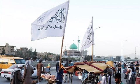 Representative Image (ANI)