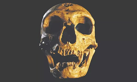 Prehistoric alarms: Morning person? Thank your Neanderthal genes