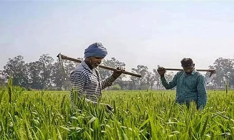 Representative image.