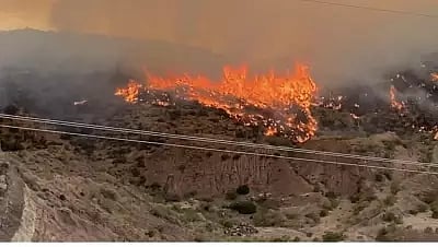 Representative image