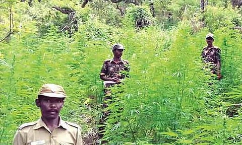 Representative image.