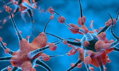 Representative Image (IANS)