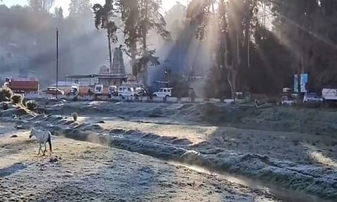 Large patches of grasslands in the Nilgiris district with frozen dew. ANI