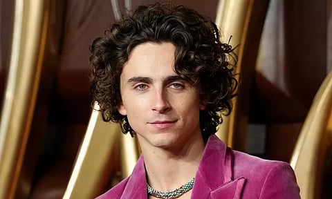 Timothee Chalamet (Reuters)