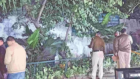 Visual from the spot