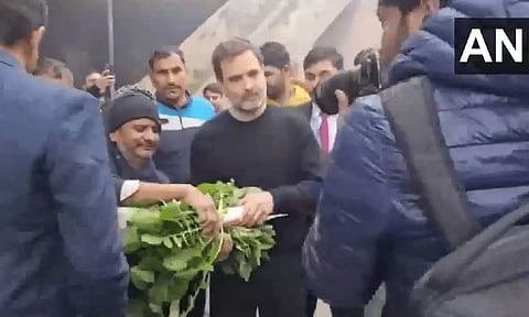 Rahul Gandhi (ANI)