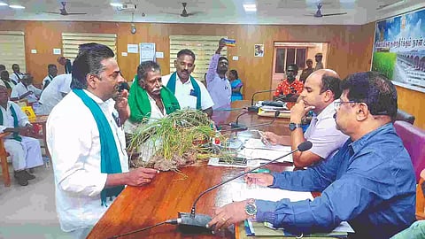 Farmers showing withered samba crops to the Thanjavur district collector Deepak Jacob on Friday at the grievances redressal meeting
