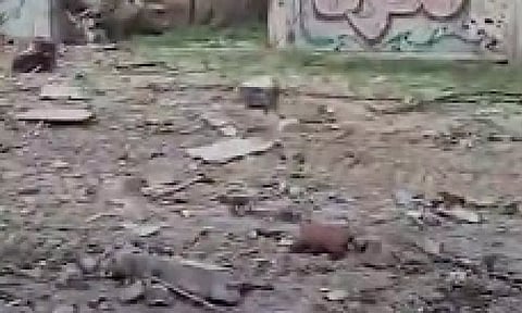 Representative image