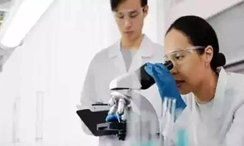 Representative Image (ANI)