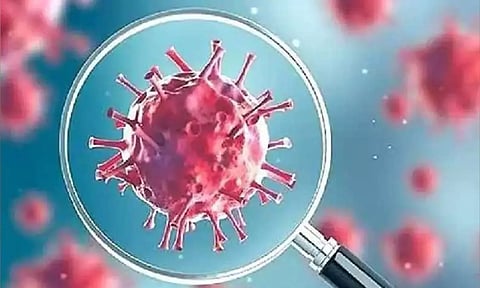 Representative Image (Dailythanthi)