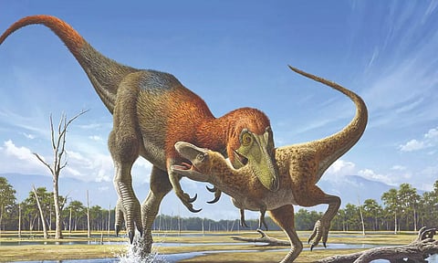 Representative image