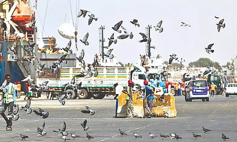 Representative image