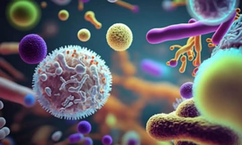 Representative Image (IANS)