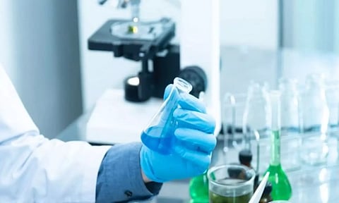 Representative Image (ANI)