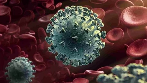 Omicron sub-variant JN1