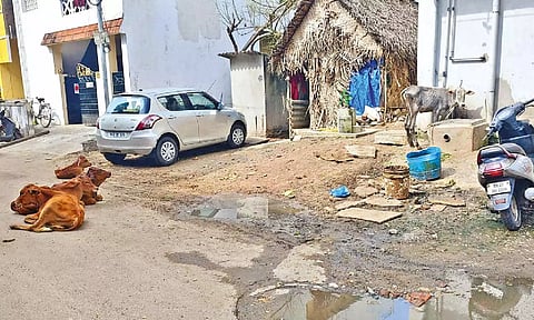 Representative image