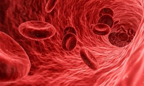 Representative Image (IANS)