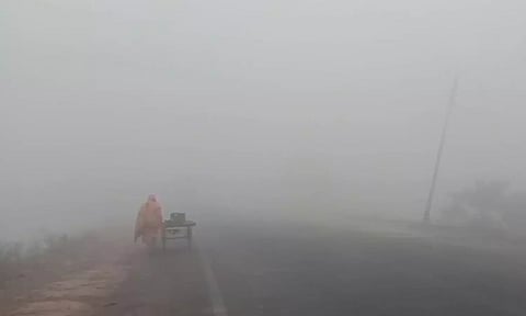 Representative Image (ANI)