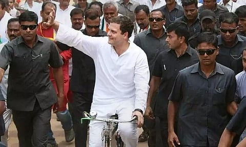 Rahul Gandhi. (PTI)
