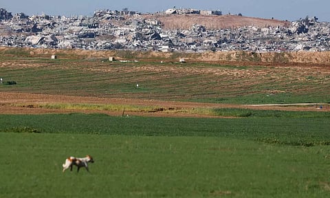 Representative image (Photo: Reuters)