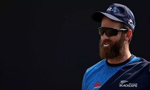 New Zealand cricketer Kane Williamson (ANI)