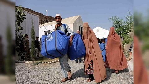 Representative Image (Photo/ANI)