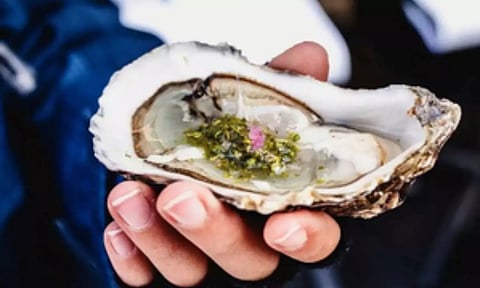 Representative Image (IANS)