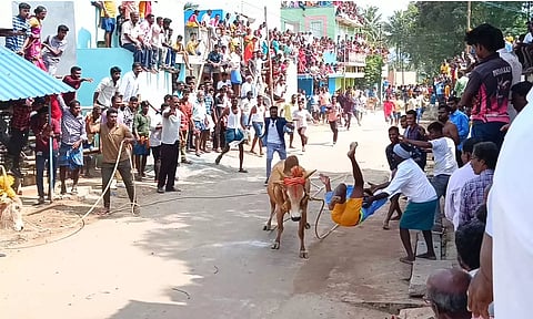 A bull running amok at Athiyur village near Anaicut in Vellore district
