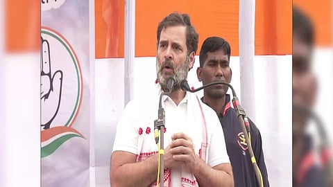 Congress leader Rahul Gandhi (ANI)