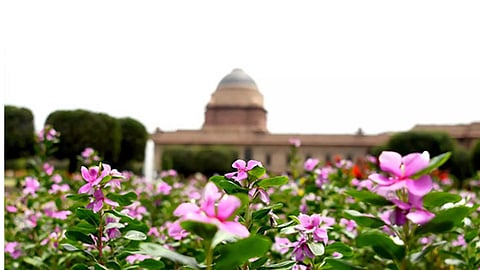 A view of the blooming flowers at Amrit Udyan (Photo/ANI)
