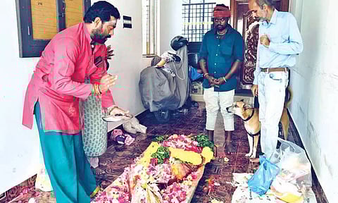 Pet dogs cremation spot