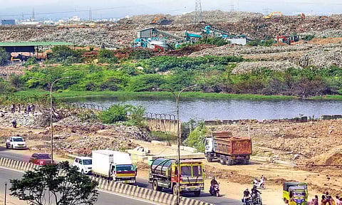Pallikaranai marshland