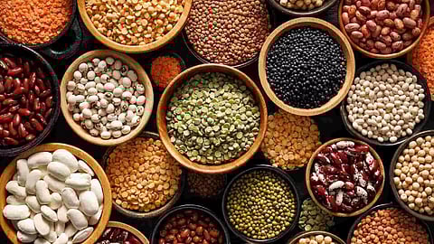 NCCF launches ‘Bharat’ Pulses at 'subsidised' prices in TN