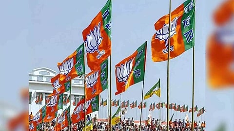 Representative Image (ANI)