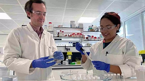 Representative Image