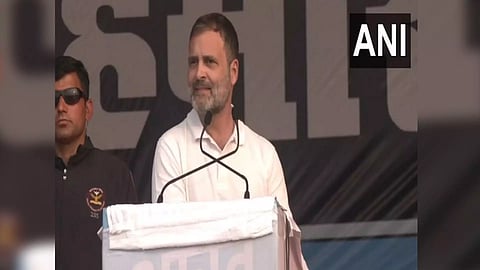 Congress leader Rahul Gandhi (ANI) 